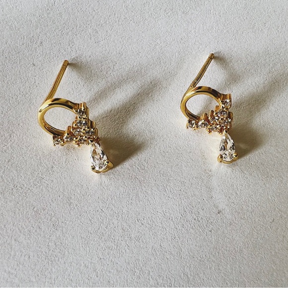 Teardrop Earrings - Picture 4 of 6